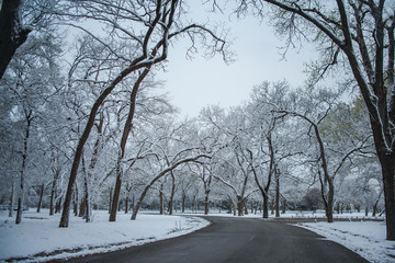 Wall Mural - White Rock Lake. Dallas, Texas.