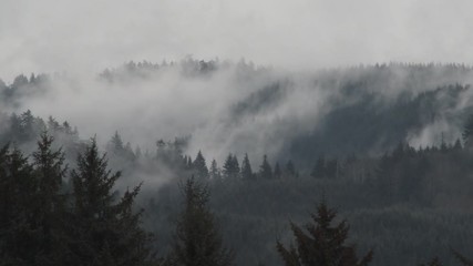 Wall Mural - Smoke Fog And Rain Pass Through Forest Hills Real Time