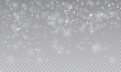 © Tanya - Falling snowflakes on transparent background. Christmas snow. Vector illustration