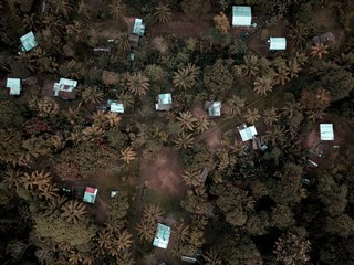 Wall Mural - Aerial shot of small buildings in the middle of trees in Papua New Guinea Village