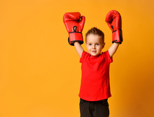 Cute Little Boy With Boxing Gloves