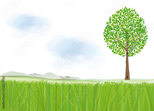景色 木 草原 原っぱ 草 芝生 緑 新緑 背景 風景 景色 水彩 空 雲 自然 Stock Vektorgrafik Adobe Stock