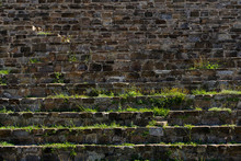 Texture Stone Stairs With Vegetation