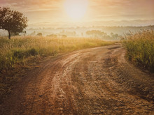 Road In The Field Against The Sunrise Background With Nature Tree.Beautiful Landscape For Adventure Travel.Vintage Tone.