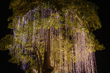 Decorative outdoor string lights hanging on tree in the garden at night time festivals season