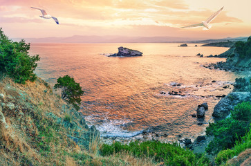 Cape Akamas Bay with seagulls in sky at sunset