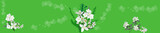 green stripe with jasmine flower branches