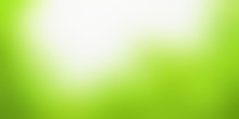 Green White Abstract Defocus Simple Pattern. Spring Nature Abstract Empty Background. Summer Forest Blurred Illustration.