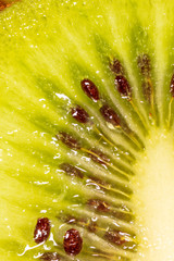 Sticker - Seeds on a sliced green kiwi as a background