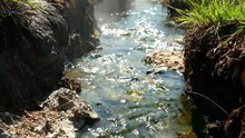 Moving Shot Of Volcanic Hot Springs Flowing Through Natural Rock With Steam At Fang Hot Springs, Chiang Mai, Thailand.