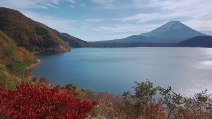 Fototapete - Mountain fuji with tree foreground, Motosuko Lake, Japan