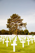 COLLEVILLE-SUR-MER, FRANCE. JULY 25, 2018: II World War Soldiers Graves With A Great Tree In The Background At The Memorial Of American Cemetery In Collevile, Normandy. In Omaha Beach