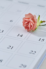 Paper Rose On Calendar Page February 14