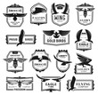 Falcon and eagle birds, heraldic labels. Vector american fight club, air travel and law firm, liberty academy, golden hawk. Security and freedom, prey and mascots, falconry theme icons