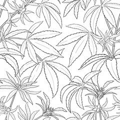 Wall Mural - hemp vector pattern