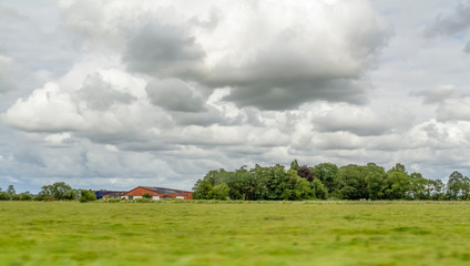 Wall Mural - Landscape in East Frisia