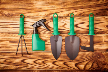 Wall Mural - Gardening tools on wooden background flat lay