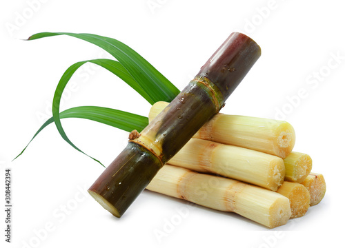 Fotografía Single object of sugar cane isolated on white background