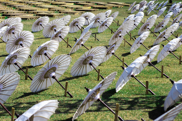 Wall Mural - Beautiful umbrellas are on the ground neatly lined up in a direction, selectively focused