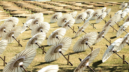 Wall Mural - Beautiful umbrellas are on the ground neatly lined up in a direction, selectively focused