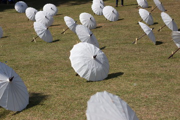 Wall Mural - Beautiful umbrellas are on the ground neatly lined up in a direction, selectively focused