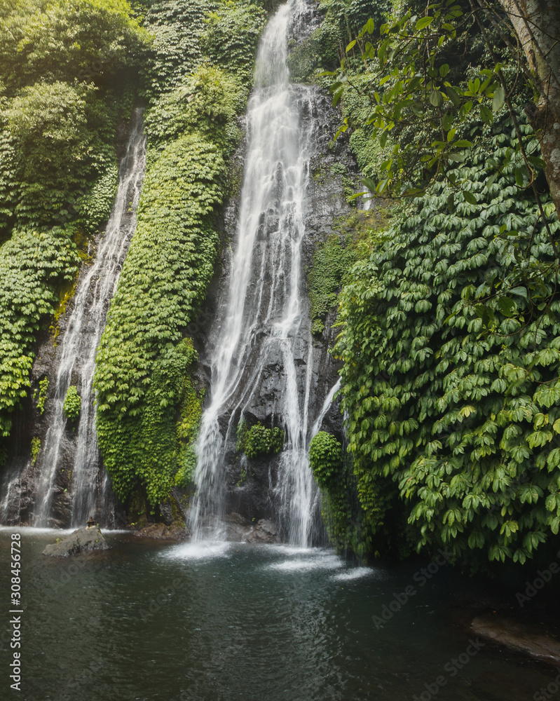 Beautiful waterfall in Bali in its ecosystem in green - obrazy, fototapety, plakaty 