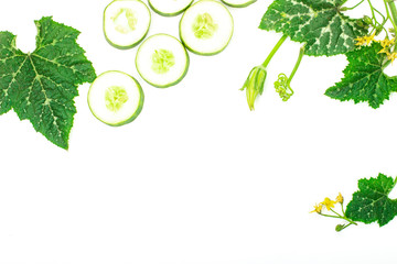 Wall Mural - Fresh Cucumber and slices isolated on a white background