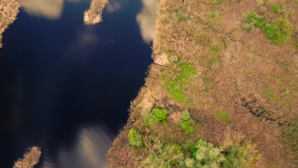Poster - Smooth movement along the islands, on the river, growing green forest
