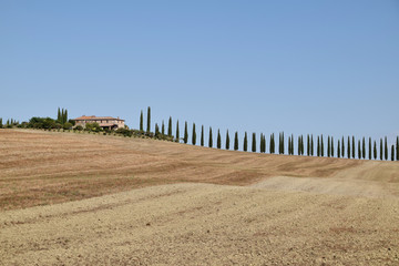 Wall Mural - A typical view of a characteristic Tuscan landscape - Tuscany Italy