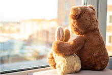 Pair Of Toys. Bunny And Teddy Bear  Embracing Loving Teddy Bear Toy And Bunny Sitting On Window-sill