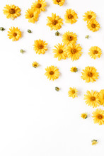 Floral Composition With Yellow Daisy Flower Buds On White Background. Flatlay, Top View.