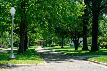 beautiful neighborhood sidewalk