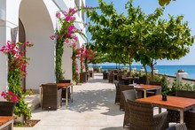 Outdoor Restaurant With Pink Flower Bushes On The Walls Surrounded By Trees And Sea In Zanzibar
