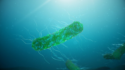 Wall Mural - viruses causing infectious diseases, decreased immunity. concept of viral disease. virus abstract ba