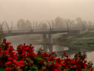 Wall Mural - a misty landscape with a blurred bridge and red flowers in the foreground