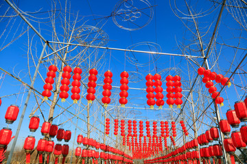 Wall Mural - Lanterns hang in the park