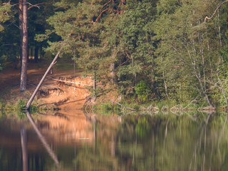 Wall Mural - landscape with tree and sandstone cliff, water glare