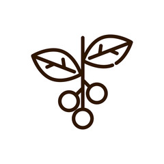 Poster - coffee plant tree beans harvest line design