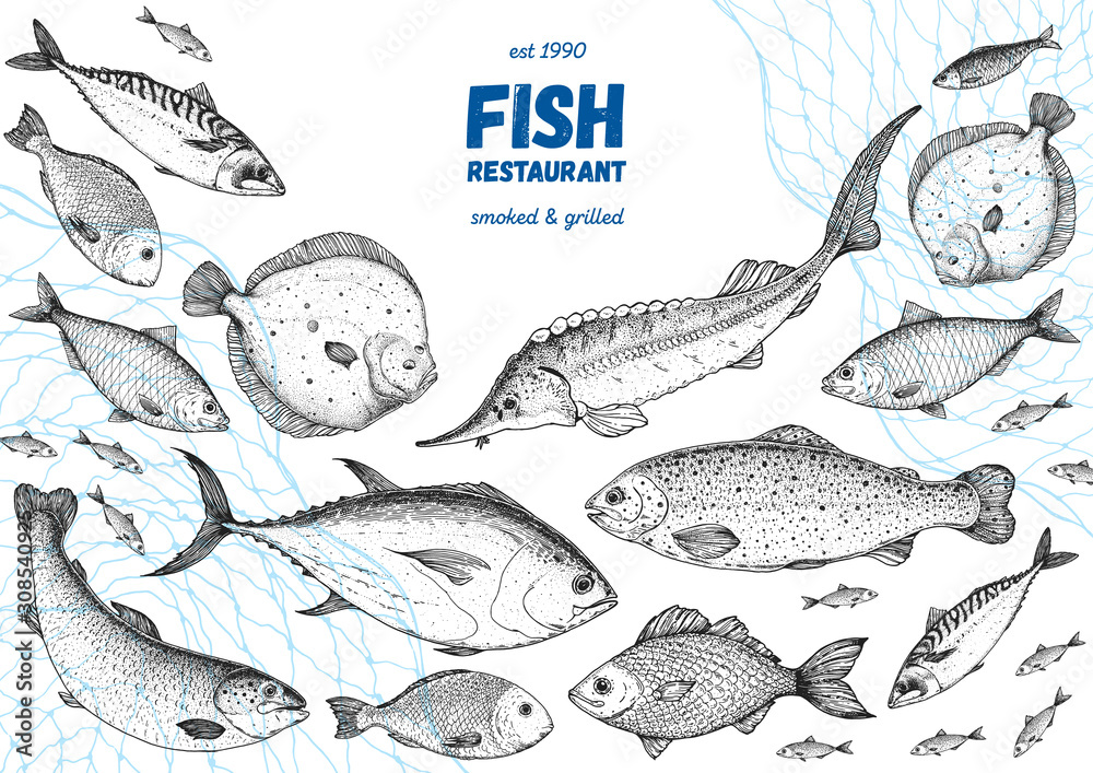 Fish sketch collection. Hand drawn vector illustration. Seafood frame ...