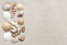 Sea Shells And Coral On The Sand