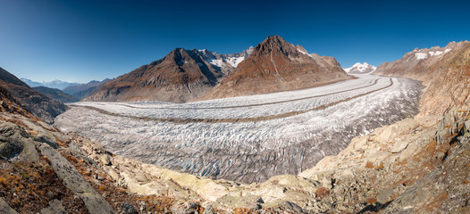 Wall Mural - Aletsch Glacier, the largest glacier in the alps, Switzerland