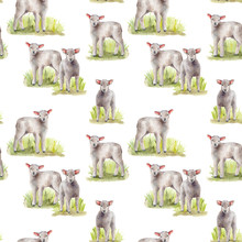 Watercolor Spring Seamless Pattern With Meadow And Lambs. Hand Painted Green Grass And A Pair Of Sheep Isolated On White Background. Animal Illustration For Design, Print, Fabric Or Background.