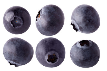 Wall Mural - Fresh blueberry with shadows isolated on white