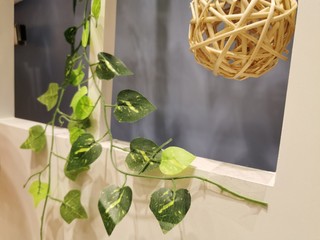 Wall Mural - Beautiful interior decoration of a window decorated with plants and rattan weave ball.