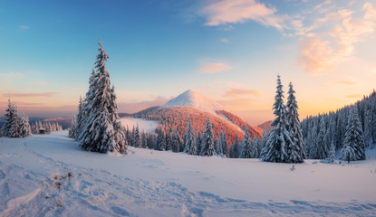 Wall Mural - fantastic winter landscape in snowy mountains glowing by morning sunlight. dramatic wintry scene wit