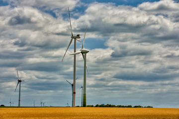 Cultivated fields with matured cereals, and on them windmills producing green energy - Germany, Maklemburg