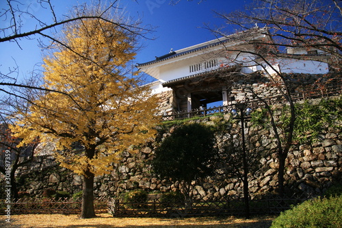 日本の秋 紅葉と浜松城天守門 Buy This Stock Photo And Explore Similar Images At Adobe Stock Adobe Stock