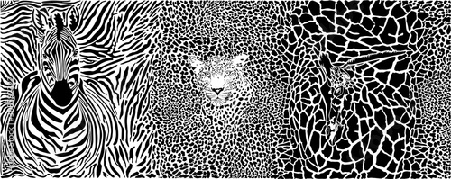 Fotografía animal, abstract, background, design, decoration fur backdrop, drawing, graphic,
