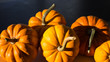 Fall harvest autumn pumpkins in sunlight background still-life photography for Thanksgiving harvest concept many pumpkins in home kitchen  decoration for autumn holiday