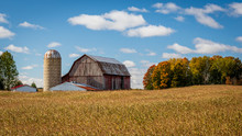 Old Barn And Silo